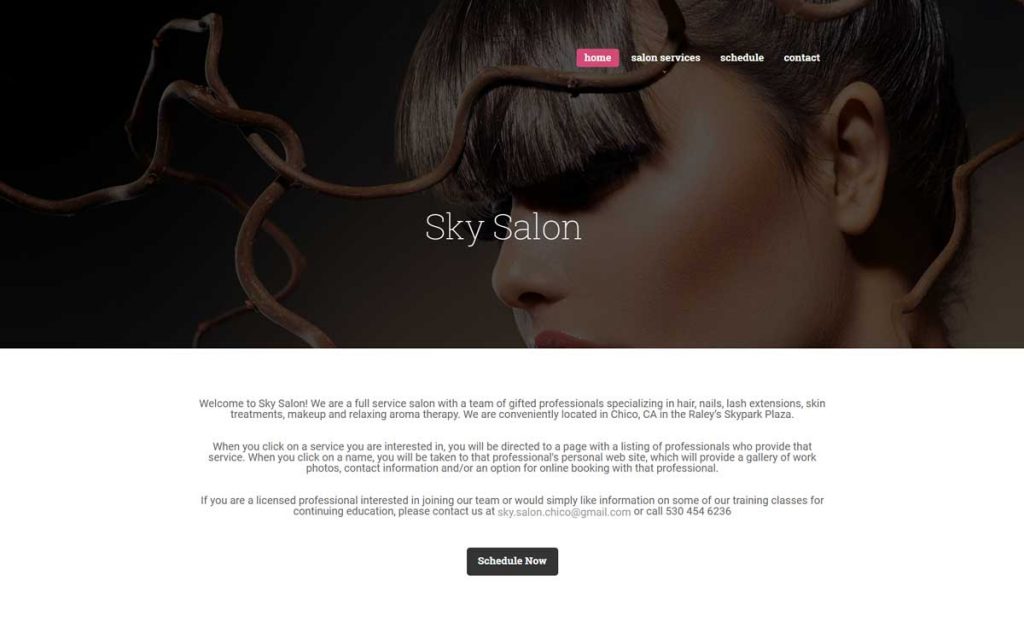 sky salon hair salon website scree shot