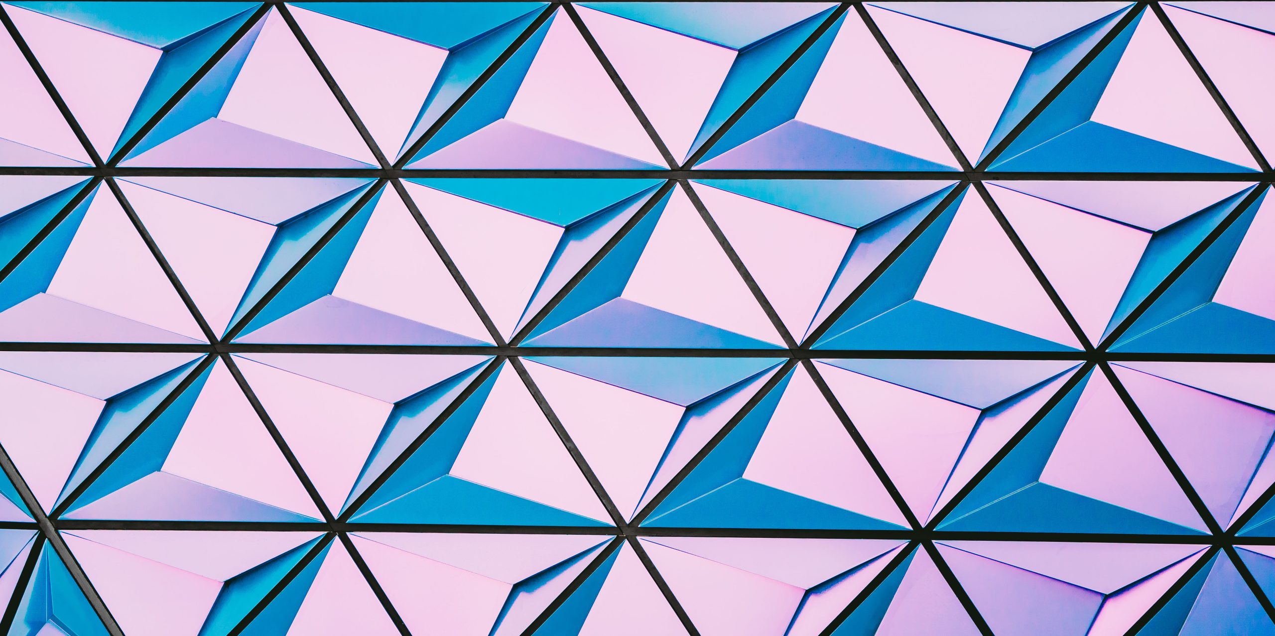 pexels-scott-webb-430207 digital branding services