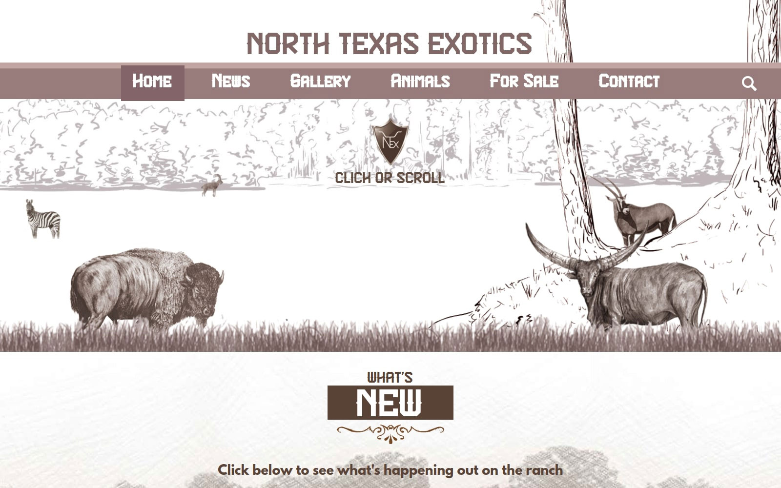 web-design-and-development-example-project-north-texas-exotics-cropped