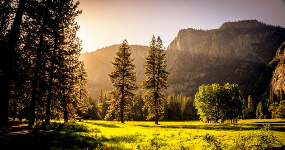 Web Design Services Yuba & Grass Valley California Businesses | California Web Design Services