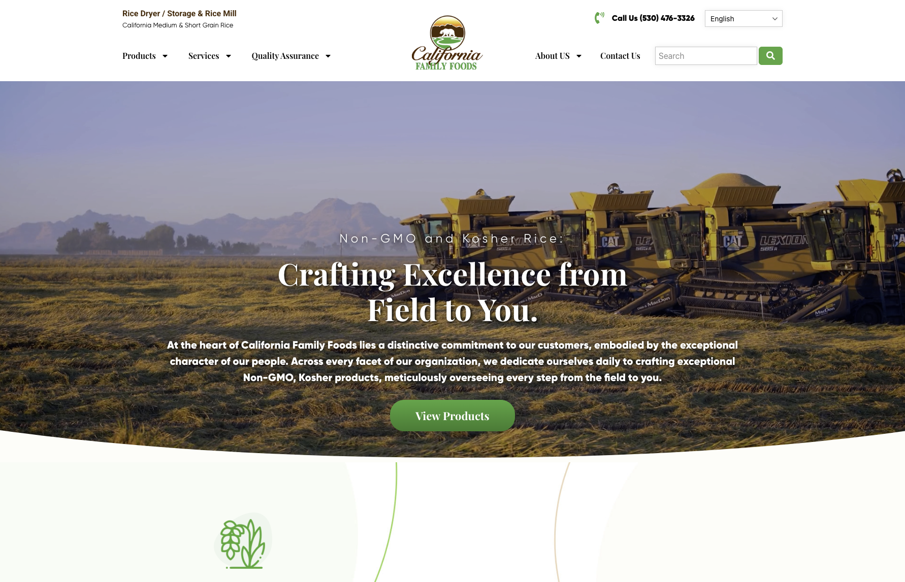 California family foods chico website design