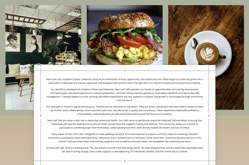 Screenshot 2026-02-20 at 12.31.15 PM